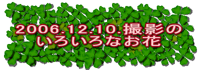 2006.12.10. 낢Ȃ