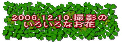 2006.12.10.Be 낢Ȃ